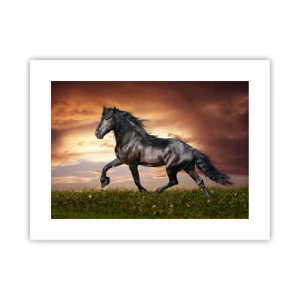 Plagát - Čierny knieža - 40x30 cm