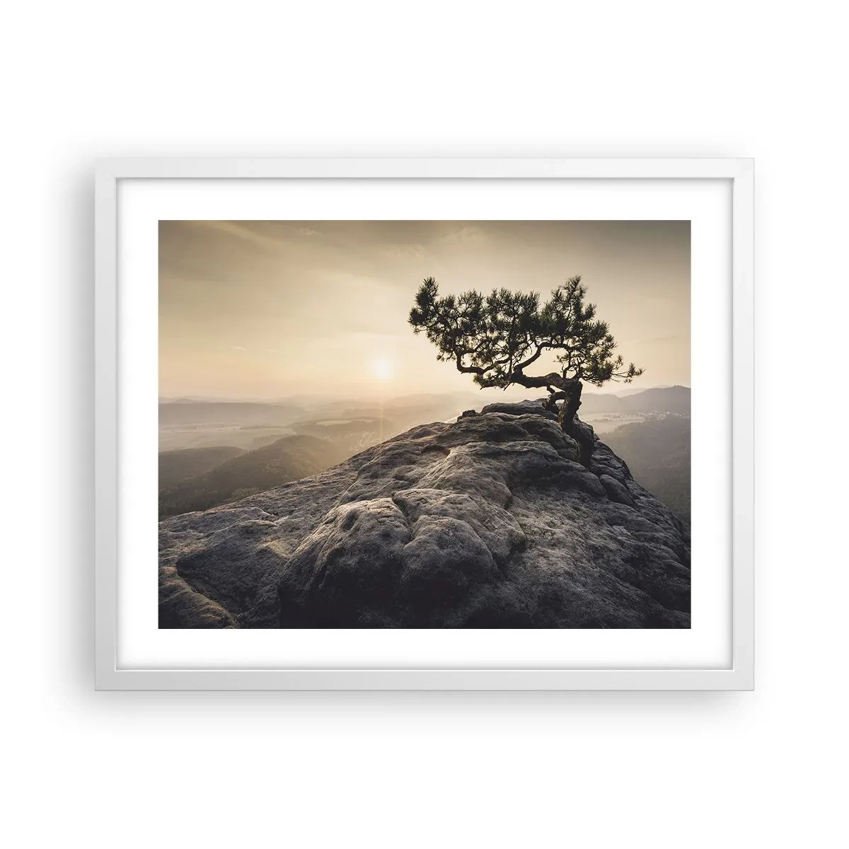 Plagát v bielom ráme - Život vždy víťazí - 50x40 cm