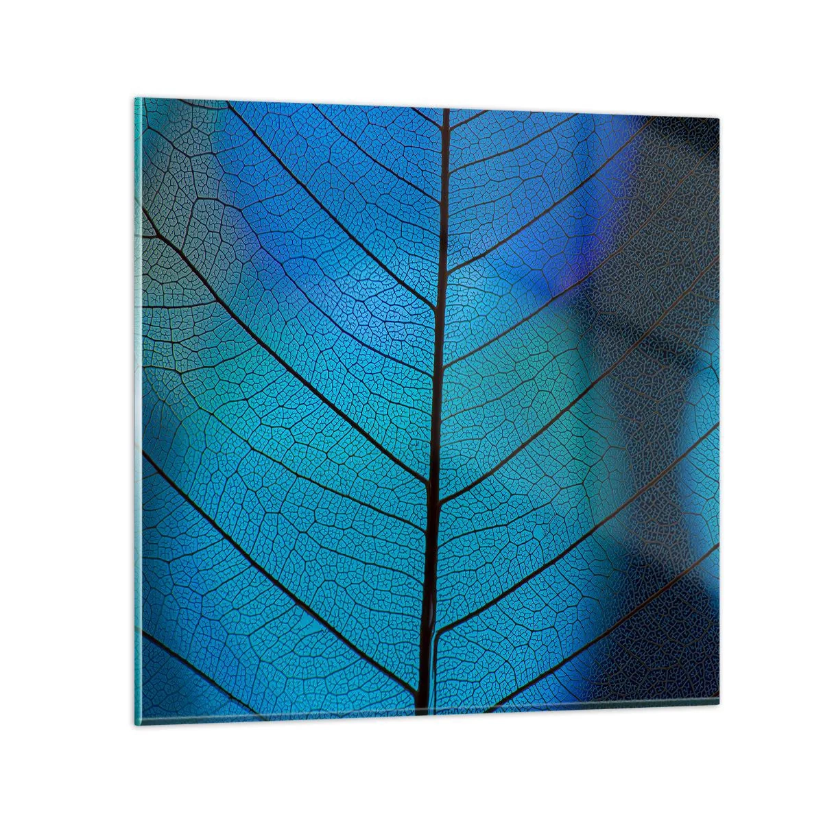 Obraz na skle - Až do detailov - 50x50 cm