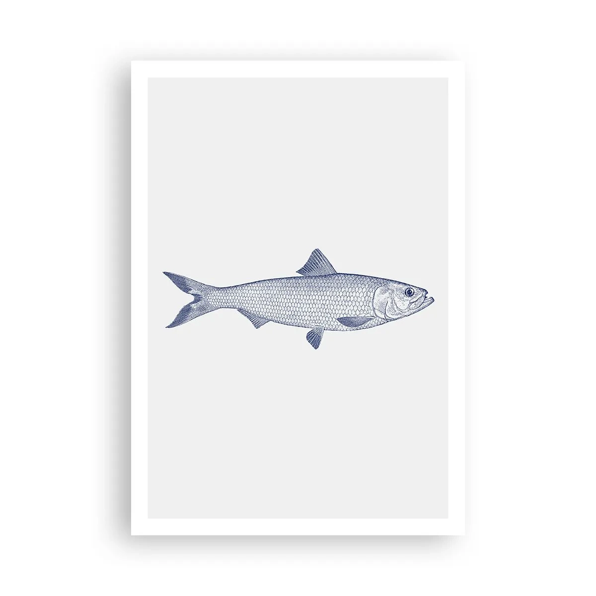 Plagát - Pozdravy zo severných morí - 70x100 cm