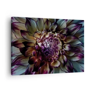 Obraz na plátne - Detailný záber na kvet dahlia v tmavých tónoch - 70x50cm - Rozkvet mladosti - Moderná nástenná dekorácia do obývacej izby a spálne ARTTOR