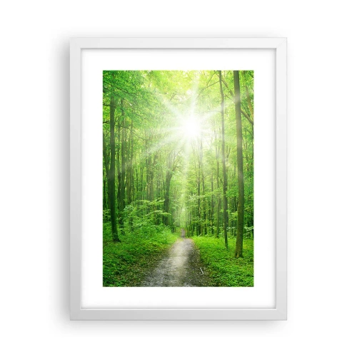 Plagát v bielom ráme - Zelená katedrála - 30x40 cm