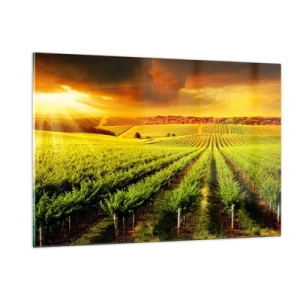 Obraz na skle - Pod austrálskym slnkom - 120x80 cm