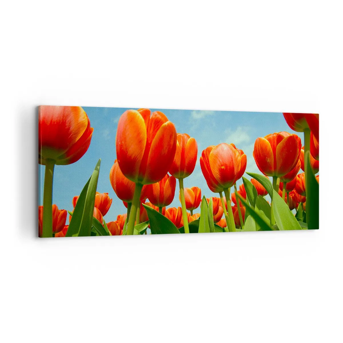 Obraz na plátne - Okrem blankytného neba nič v živote nepotrebujú - 120x50 cm
