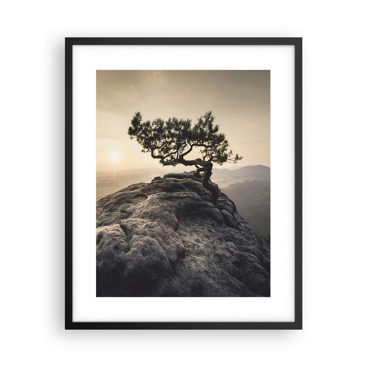 Plagát v čiernom ráme - Život vždy víťazí - 40x50 cm