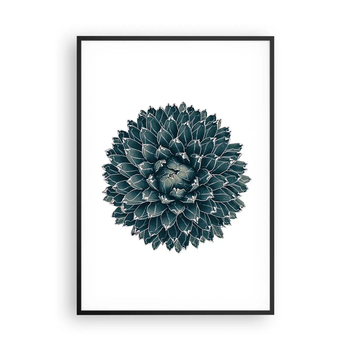 Plagát v čiernom ráme - Hviezda púšte - 70x100 cm