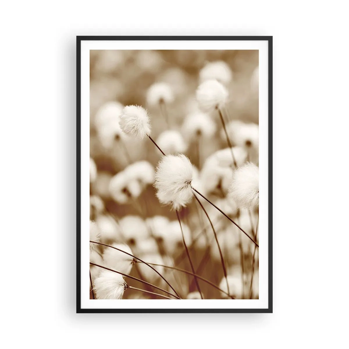 Plagát v čiernom ráme - Chlpatý lán - 70x100 cm