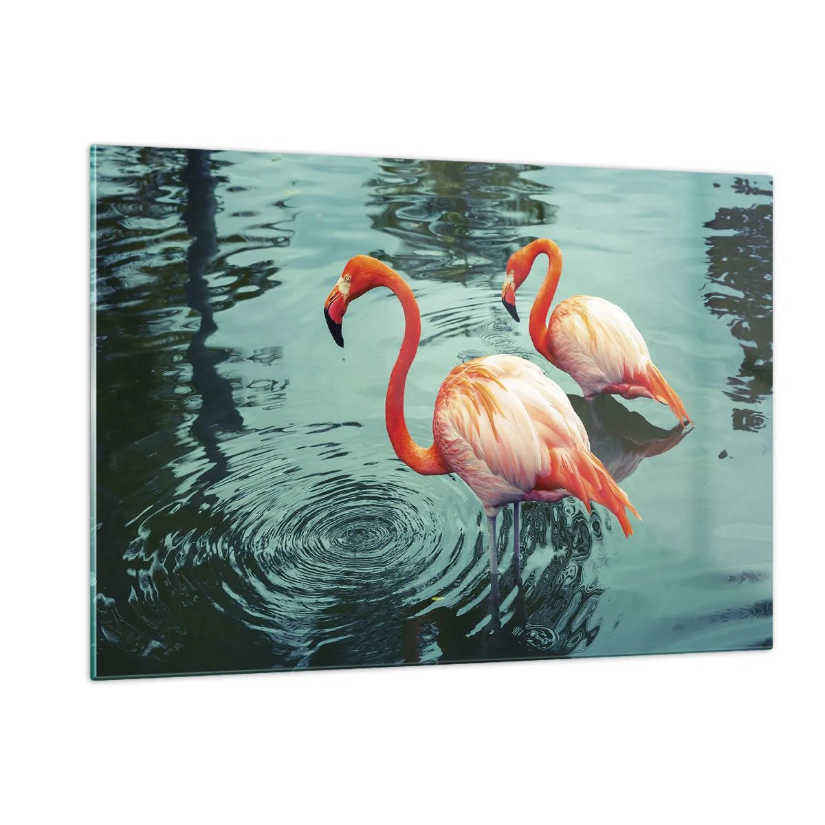Obraz na skle - Teraz sme v móde - 120x80 cm