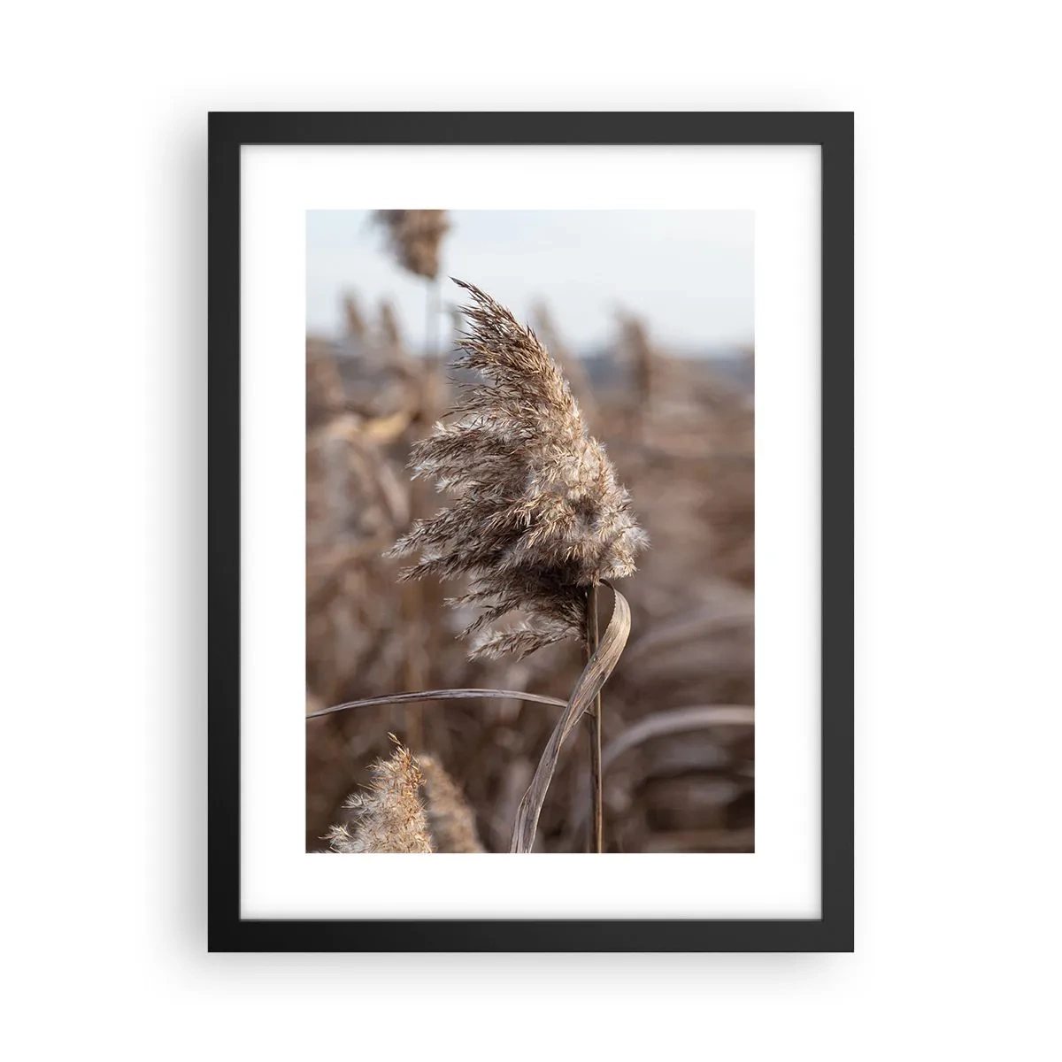 Plagát v čiernom ráme - Čas odletieť s vetrom - 30x40 cm