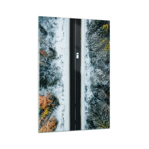 Obraz na skle - Cez zimný les - 70x100 cm