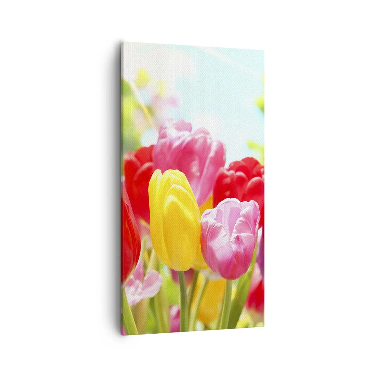 Obraz na plátne - To sme my, farby mája! - 55x100 cm