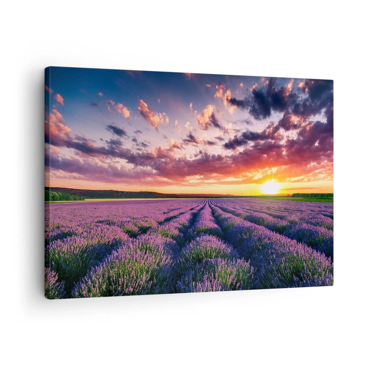Obraz na plátne - Levanduľové pole pri západe slnka s farebnou oblohou - 70x50cm - Levanduľový svet - Moderná nástenná dekorácia do obývacej izby a spálne ARTTOR