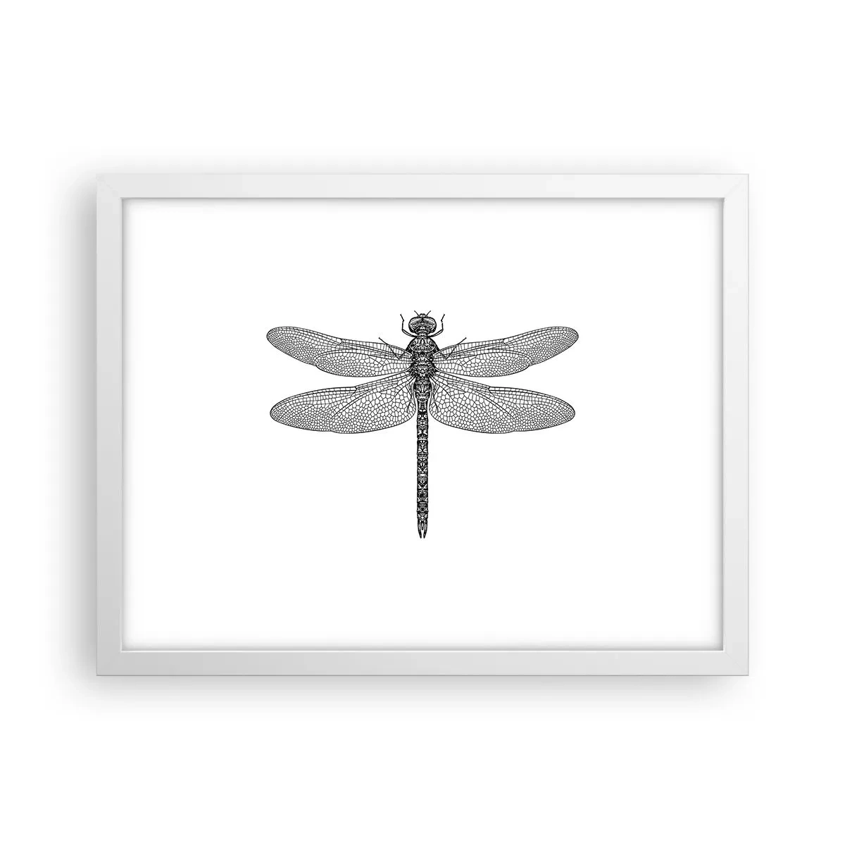 Plagát v bielom ráme - Presnosť prírody - 40x30 cm