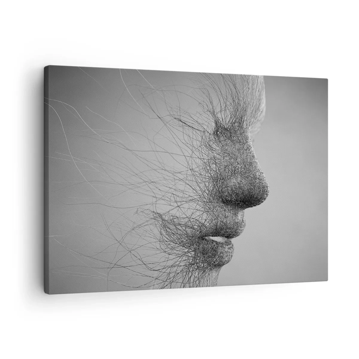 Obraz na plátne - Umelecký profil tváre vytvorený jemnými líniami - 70x50cm - Duch vetra - Moderná nástenná dekorácia do obývacej izby a spálne ARTTOR