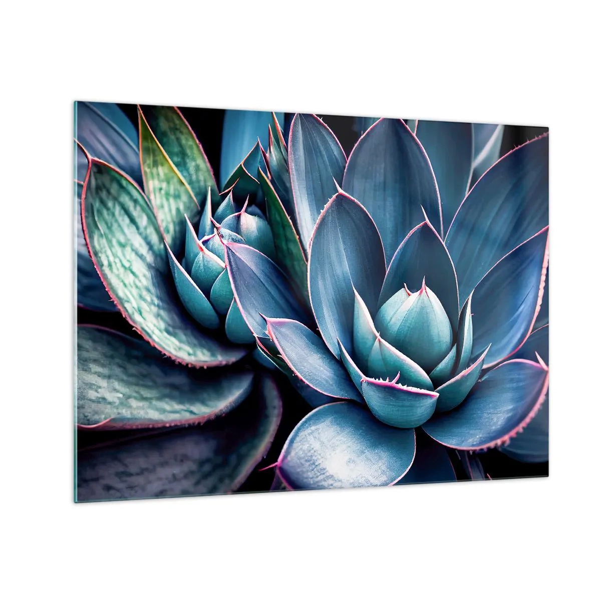 Obraz na skle - Detailný záber na svieže zelené listy sukulentov - 70x50cm - Vitálna sila - Moderná nástenná dekorácia do obývacej izby a spálne ARTTOR