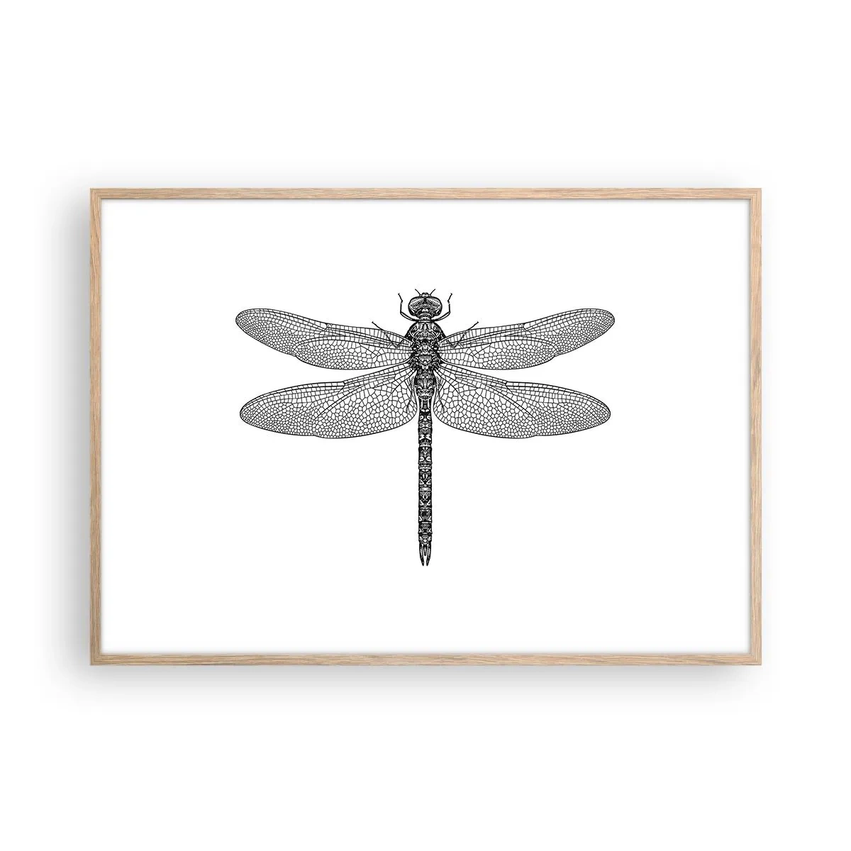 Plagát v ráme zo svetlého duba - Presnosť prírody - 100x70 cm