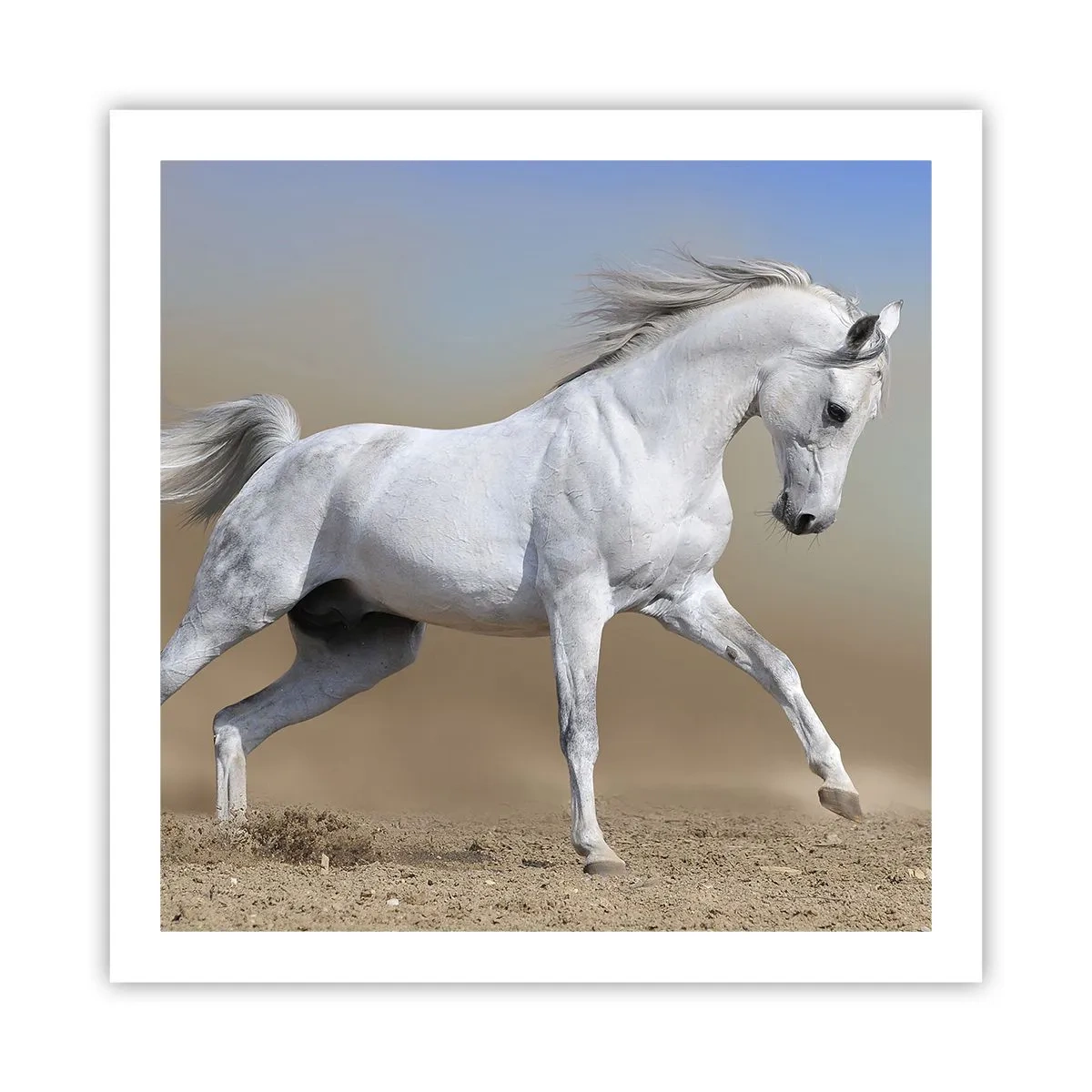 Plagát - Najkrajšia arabská rozprávka - 60x60 cm