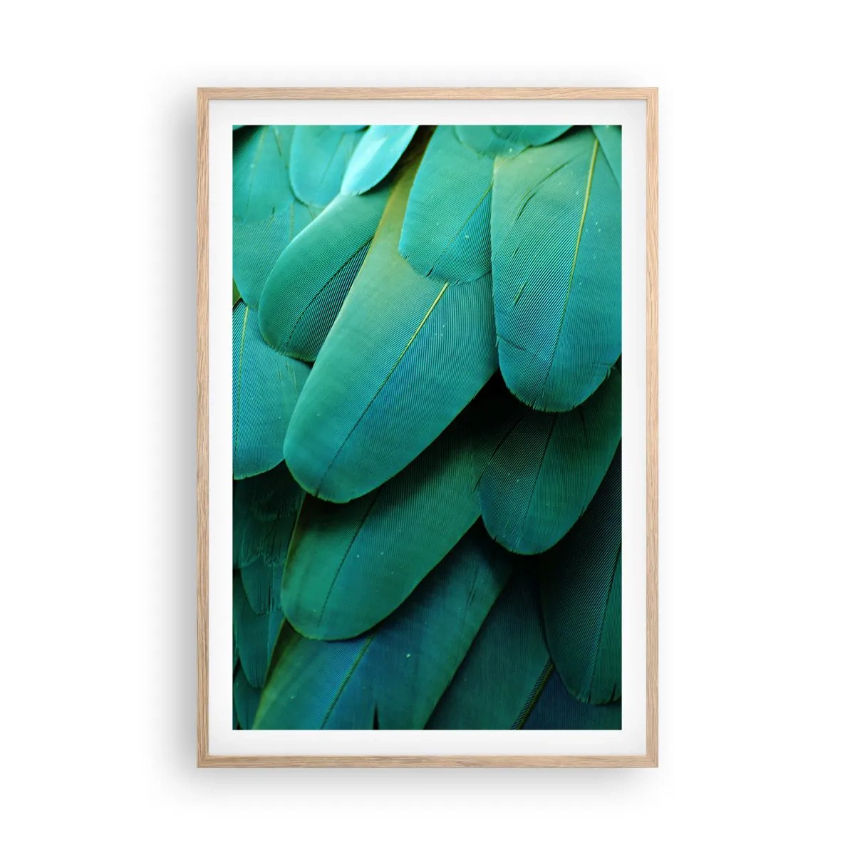 Plagát v ráme zo svetlého duba - Presnosť papagájovej povahy - 61x91 cm