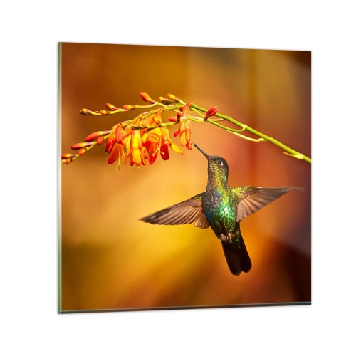 Obraz na skle - Posol svetla podľa Májov - 60x60 cm