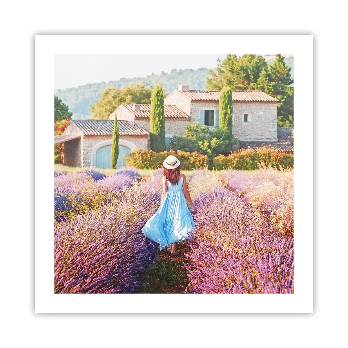 Plagát - Levanduľové dievča - 50x50 cm
