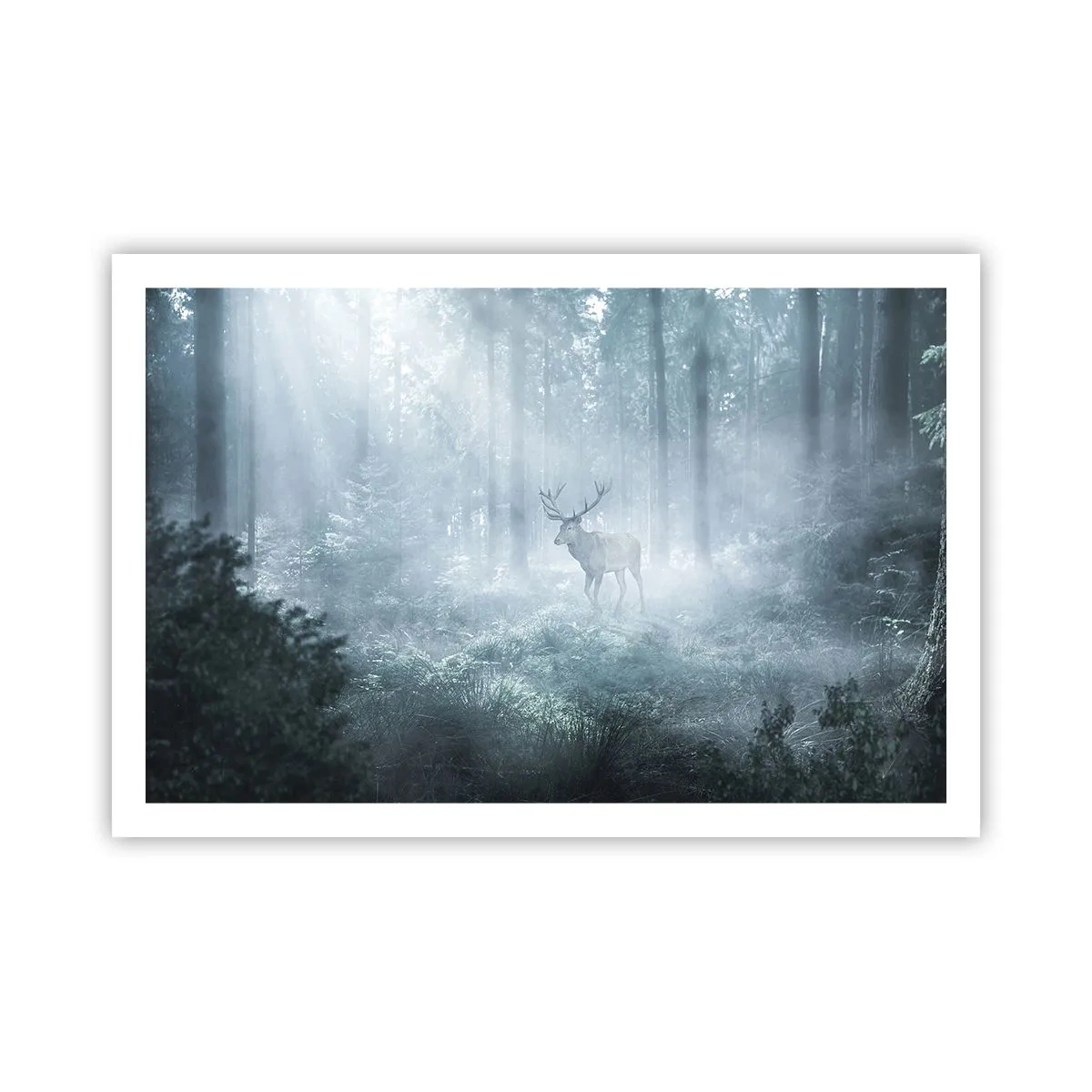 Plagát - Ranná obchôdzka sídliska - 91x61 cm