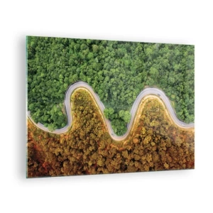 Obraz na skle - Kľukatá cesta cez hustý les z vtáčej perspektívy - 70x50cm - Hranice a prelomy - Moderná nástenná dekorácia do obývacej izby a spálne ARTTOR