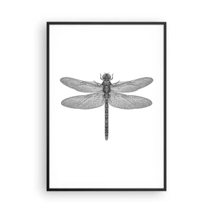 Plagát v čiernom ráme - Presnosť prírody - 70x100 cm