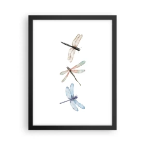 Plagát v čiernom ráme - Beztiažové vážky - 30x40 cm