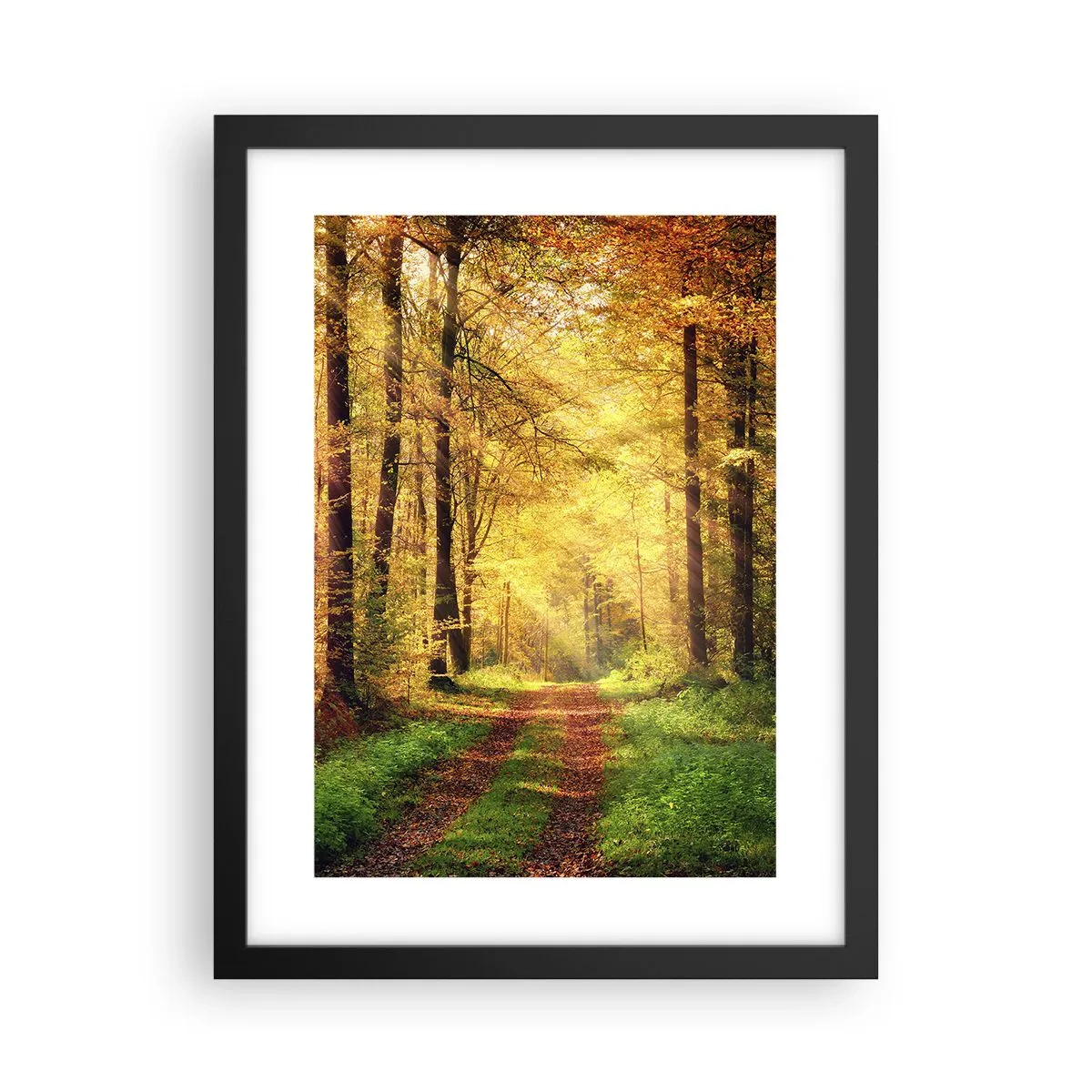 Plagát v čiernom ráme - Lesno-zlaté ticho - 30x40 cm