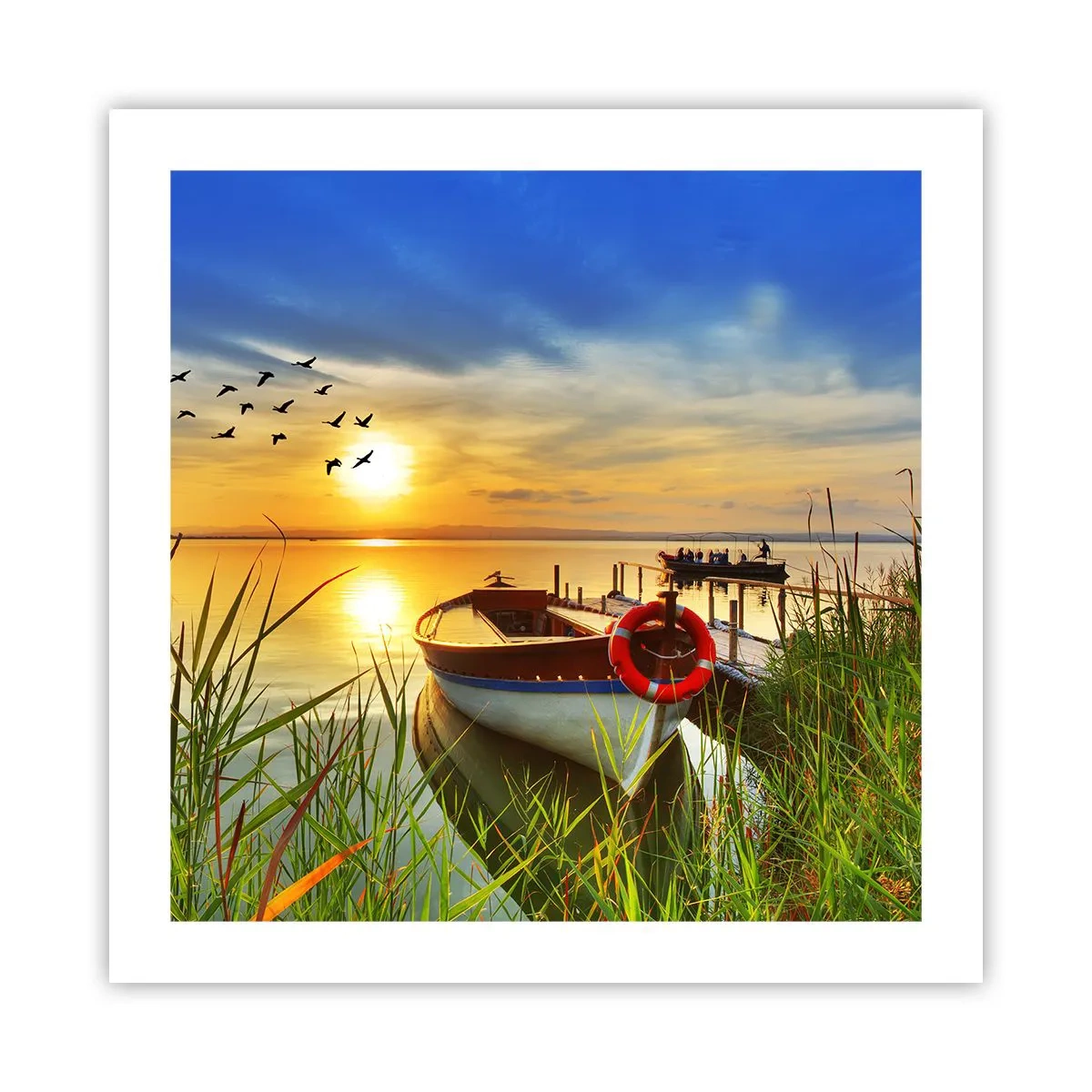 Plagát - Kormorány už odlietajú - 50x50 cm