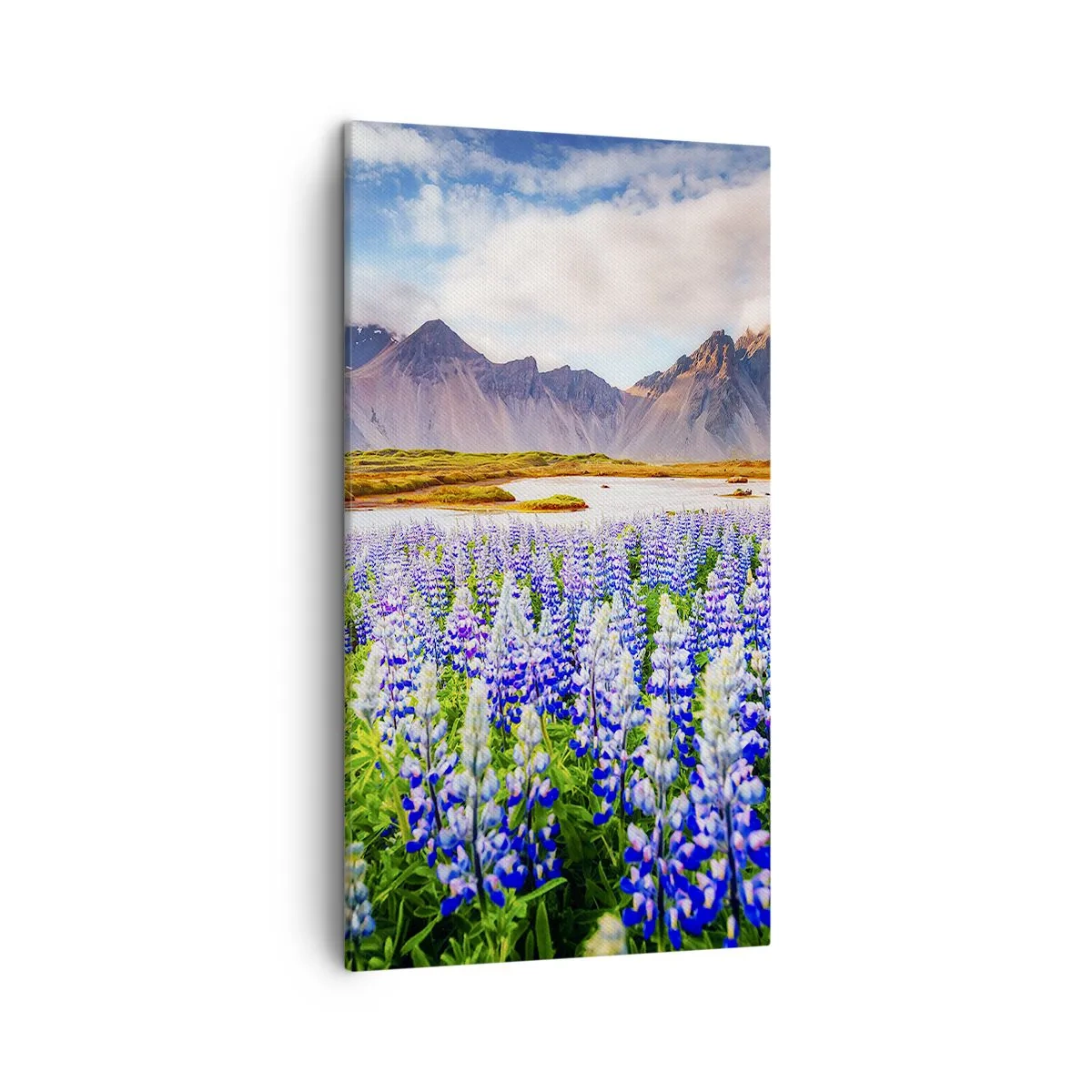 Obraz na plátne - Sila a prísnosť vedľa miernosti - 45x80 cm