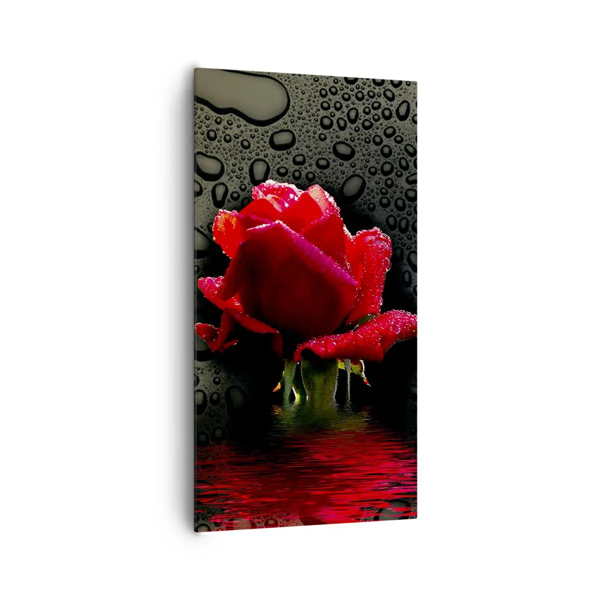 Obraz na plátne - Červené a čierne - 65x120 cm