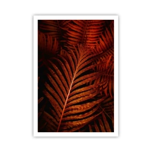 Plagát - Žiar života - 70x100 cm