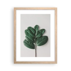 Plagát v ráme zo svetlého duba - Kresba samotnej prírody - 30x40 cm