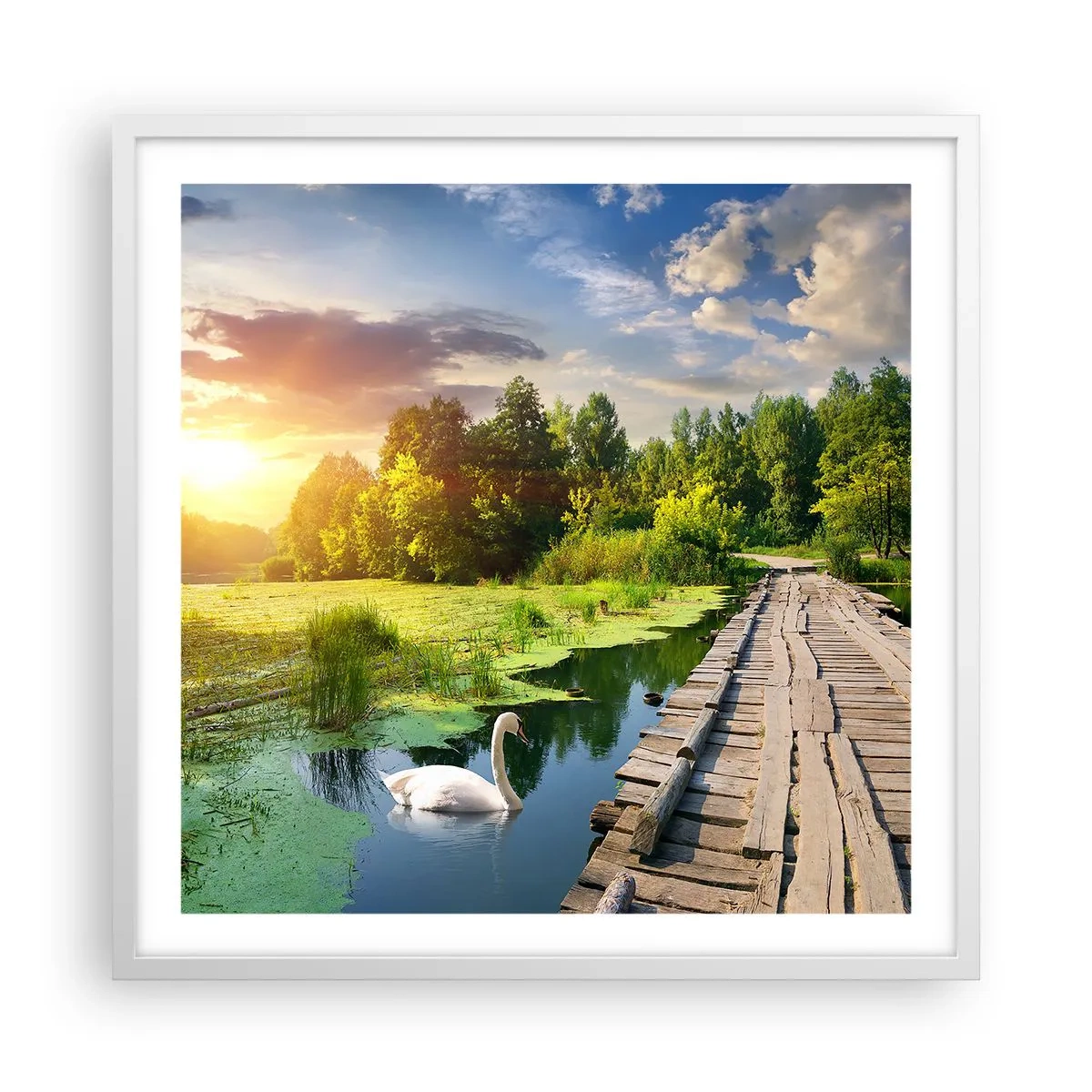 Plagát v bielom ráme - Leto, leto všade - 60x60 cm