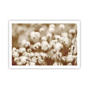 Plagát - Chlpatý lán - 91x61 cm