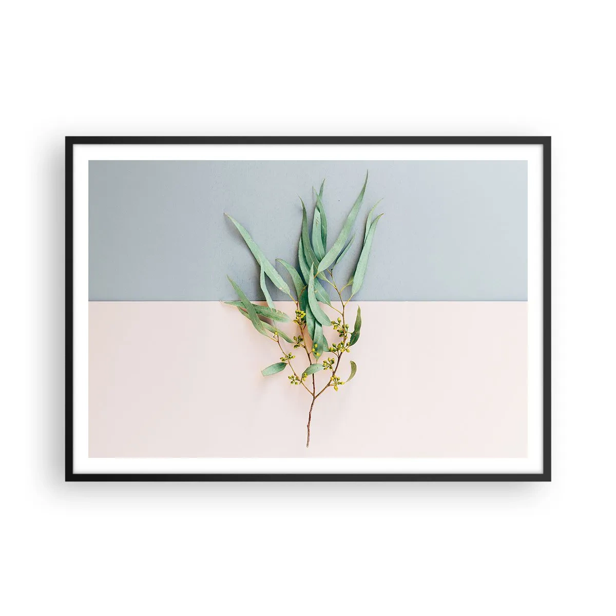 Plagát v čiernom ráme - Pastelová jemnosť - 100x70 cm