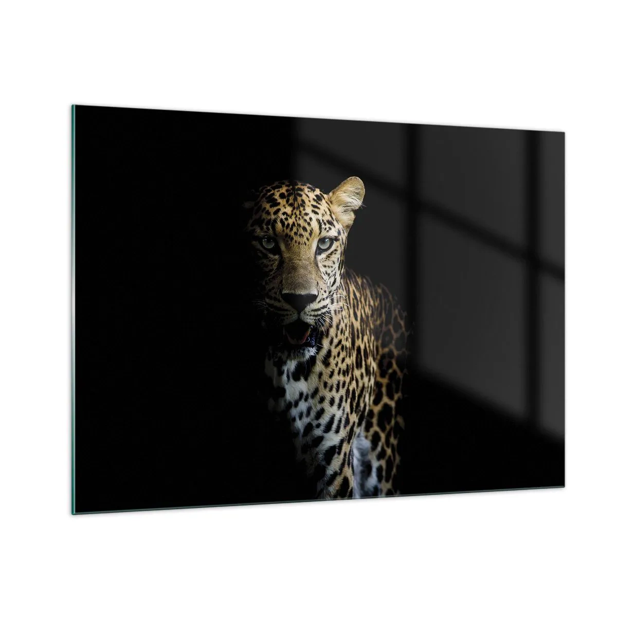 Obraz na skle - Temná krása - 100x70 cm