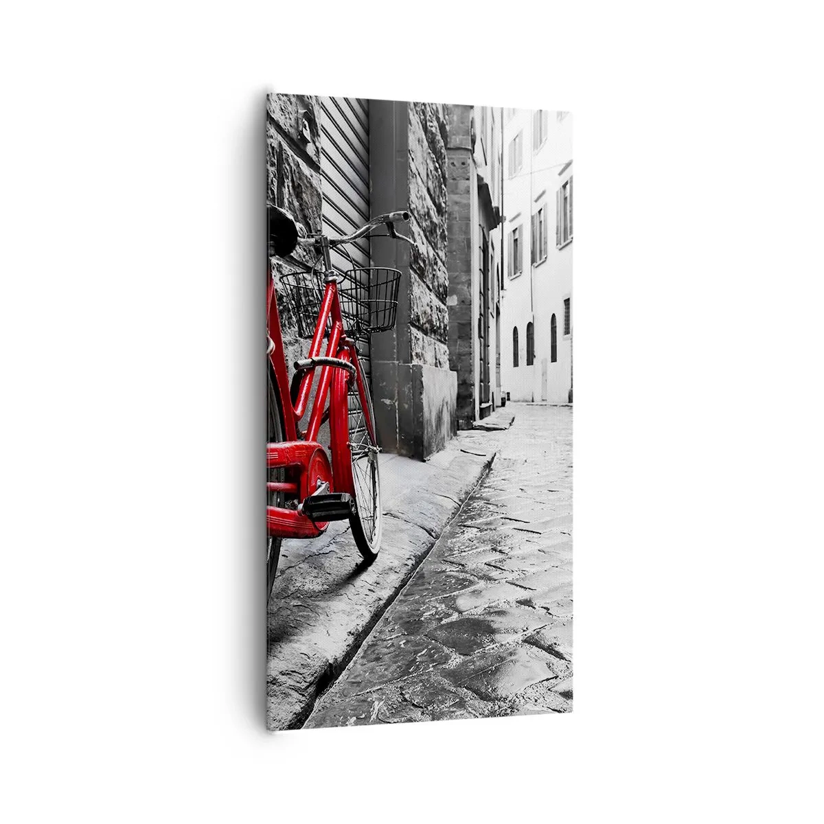 Obraz na plátne - Skutočná krása nestarne - 65x120 cm