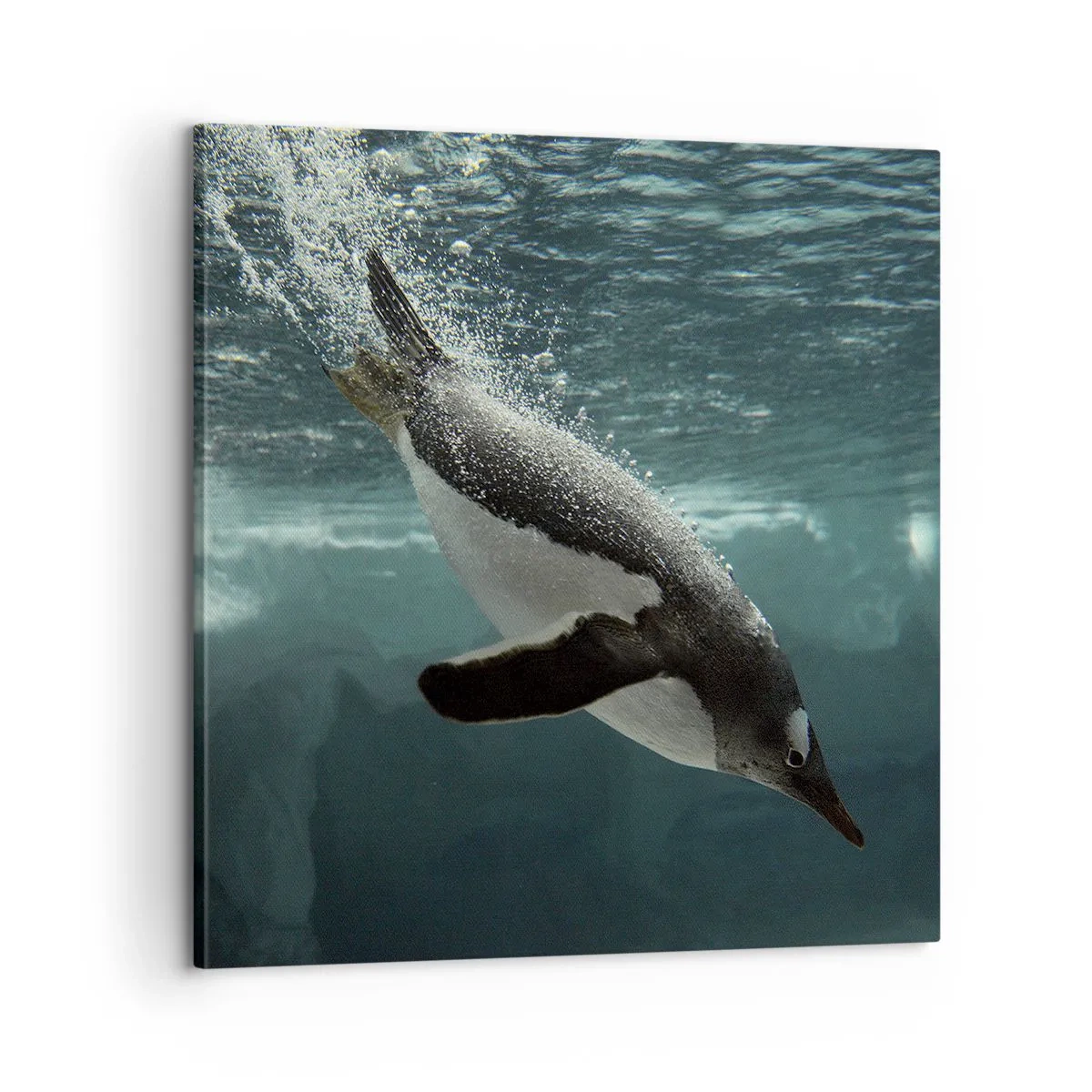 Obraz na plátne - Vitajte v mojom svete - 60x60 cm