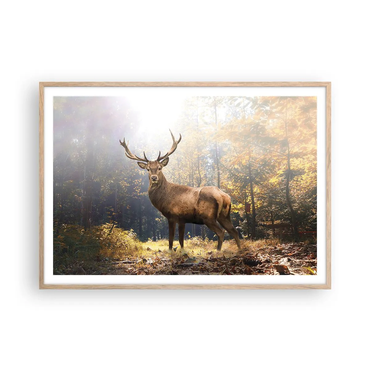 Plagát v ráme zo svetlého duba - Plné dôstojnosti - 100x70 cm