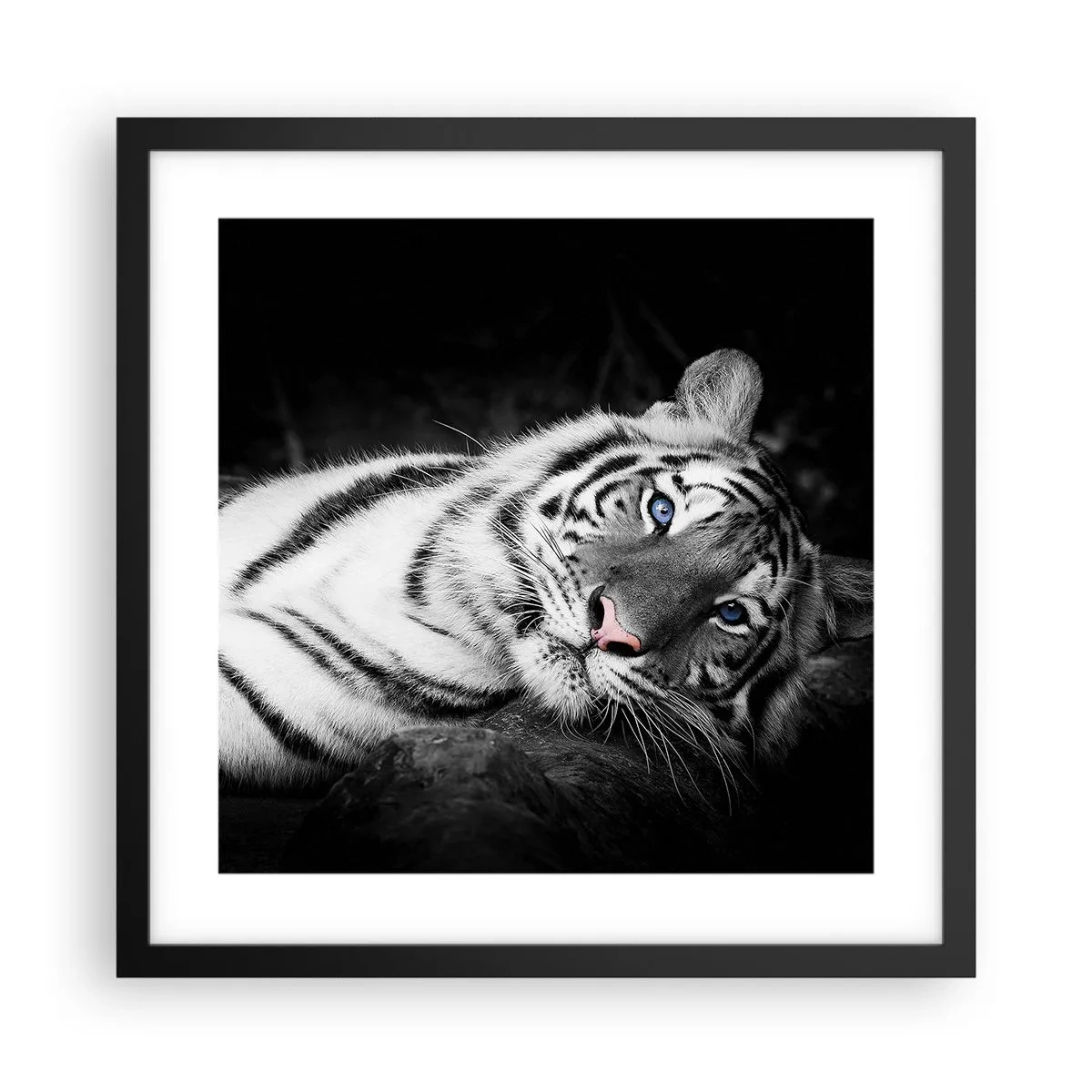 Plagát v čiernom ráme - Divočina a pokoj - 40x40 cm
