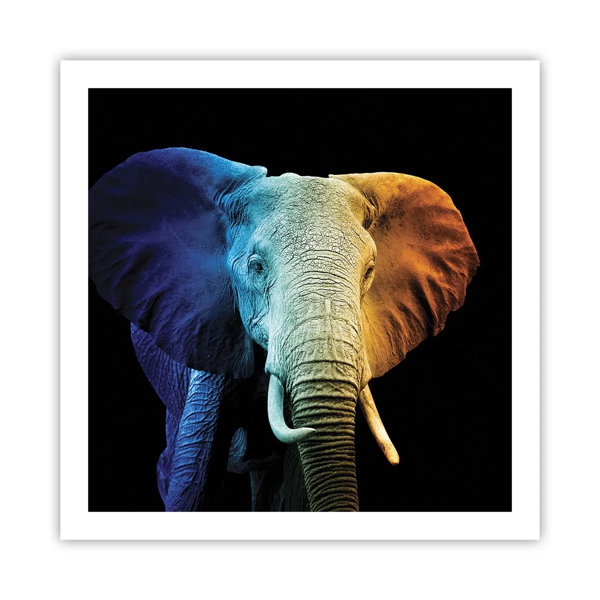 Plagát - Excentrický muž, avšak nie podivín - 60x60 cm