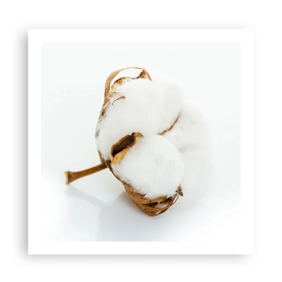 Plagát - Mäkká od prírody - 60x60 cm