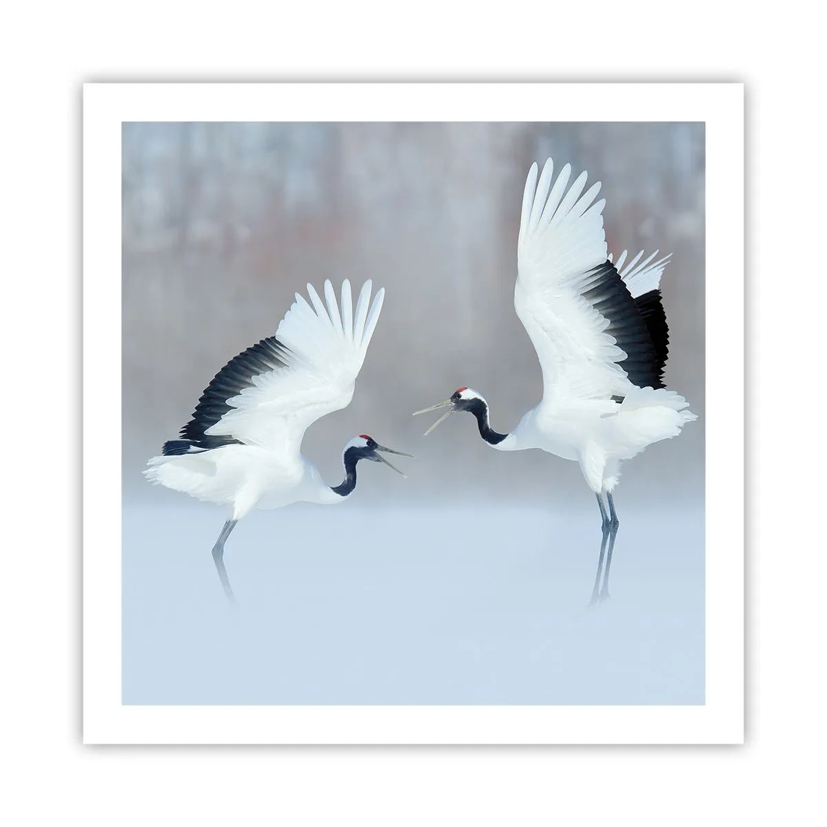 Plagát - Tanec v hmle - 60x60 cm