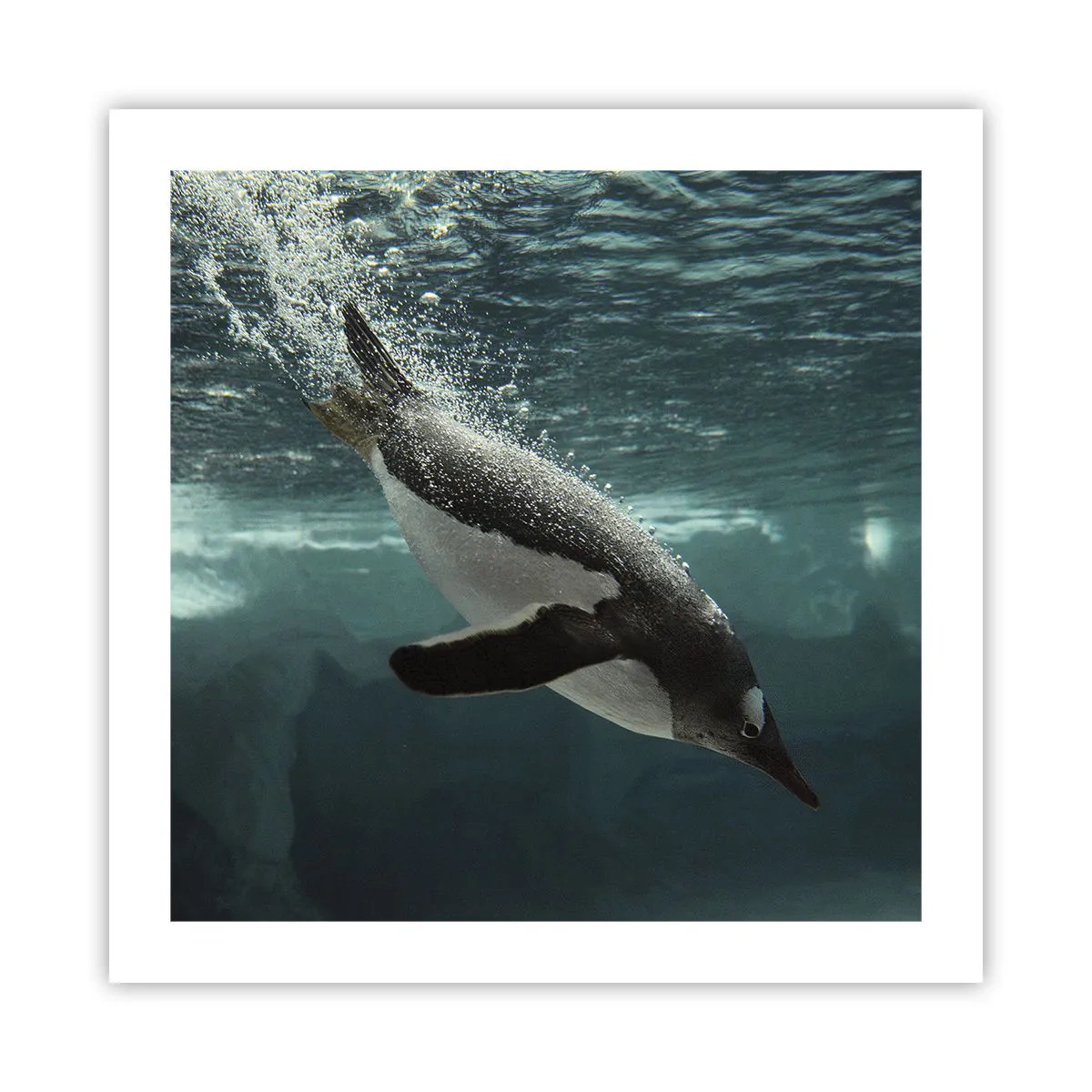 Plagát - Vitajte v mojom svete - 50x50 cm