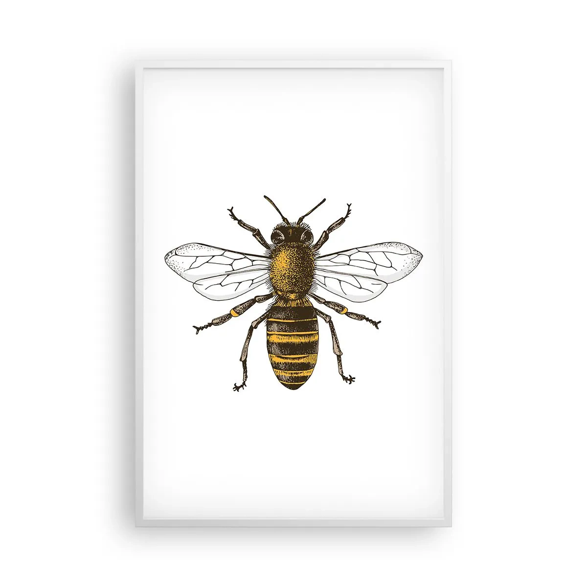 Plagát v bielom ráme - Krásna a dobrá - 61x91 cm