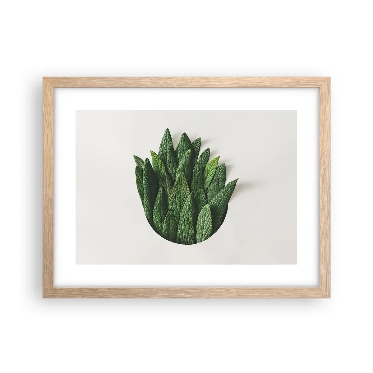 Plagát v ráme zo svetlého duba - Neukojiteľná zvedavosť - 40x30 cm