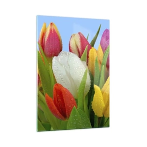 Obraz na skle - Kvetinová dúha v kvapkách rosy - 50x70 cm