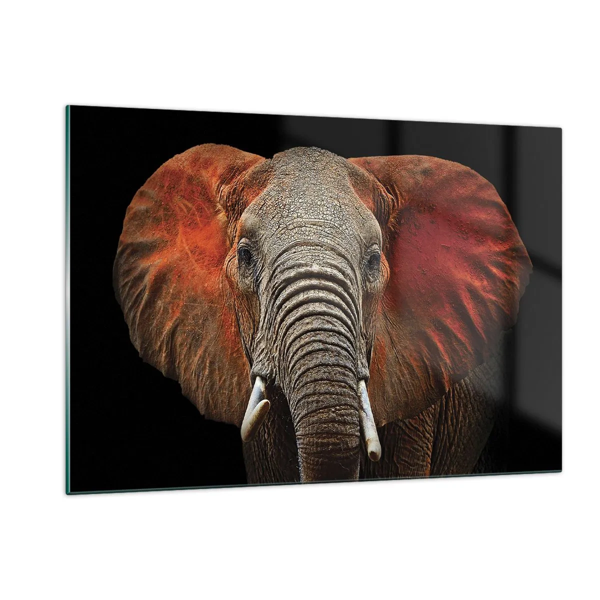 Obraz na skle - Som divoký, a ty? - 120x80 cm